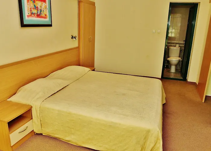 Aktinia Hotel Sluneční pobřeží